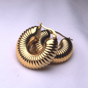 Bold Circle HooP earring